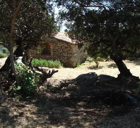 Tassinca Pietrosella
